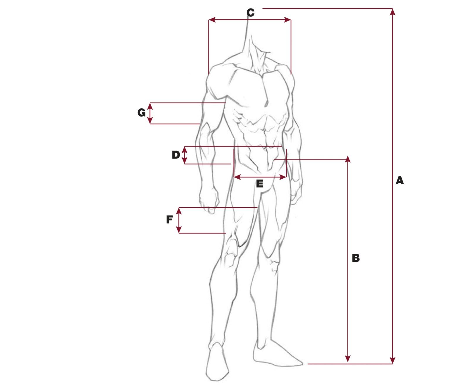 Olympia Jacket Size Chart